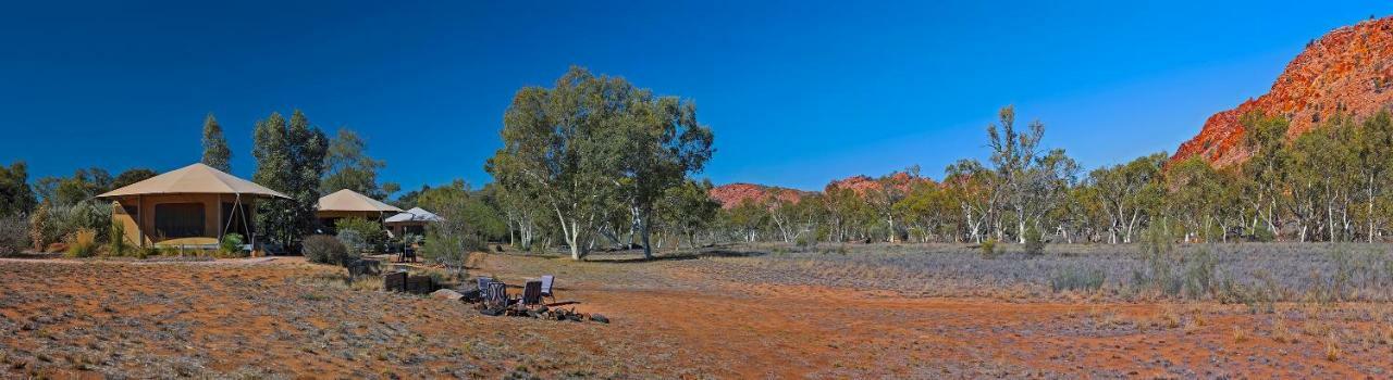 Squeakywindmill Boutique Tent B&B Alice Springs Exterior photo